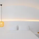 Nano Canaves فيلة