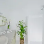 Nano Canaves *